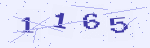 4 位数字图片验证码