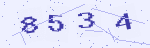 4 位数字图片验证码